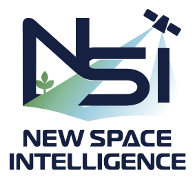 株式会社New Space Intelligence
